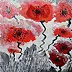 Magdalena Waszkiewicz - Red poppies