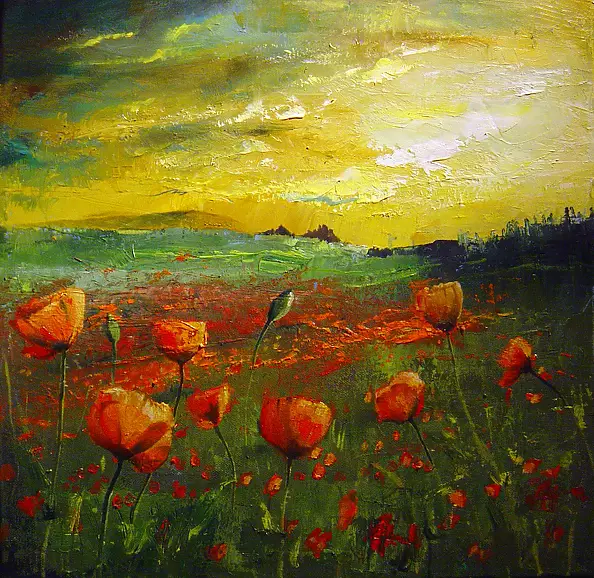 Anna Słota - Czerwone maki pod Monte Cassino