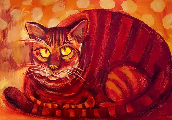 Igor Żakowski - red Cat