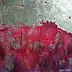 Monika Targiel -  Red abstract landscape