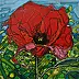 Magda Florczyk - Red-so because they are red poppies
