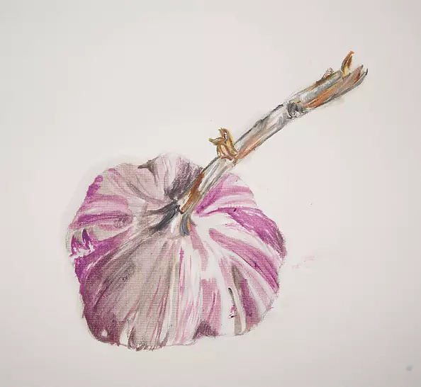 Ewa Słodzińska - garlic 1