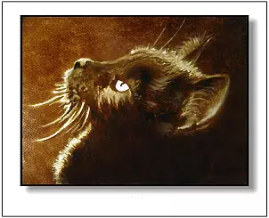 Jolanta Dusza - Czrnuszek