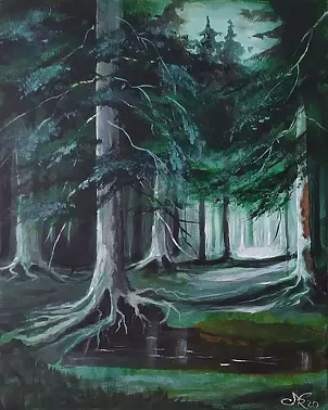 Ryszard Niedźwiedzki - Czrny Bor