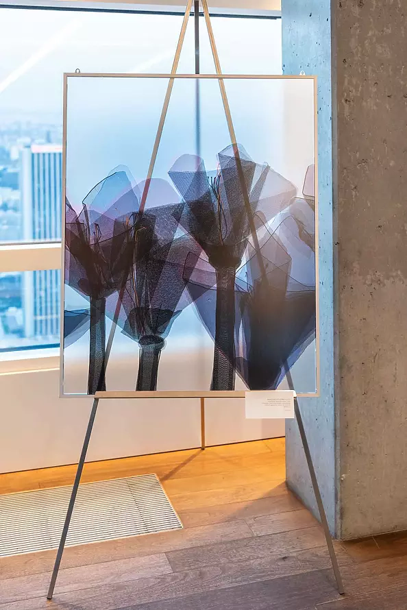 Małgorzata Jabłońska - Does size matter?