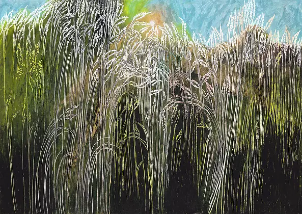 Angelika Mus Nowak - Czy warto zwracać uwagę na świecące trawy?