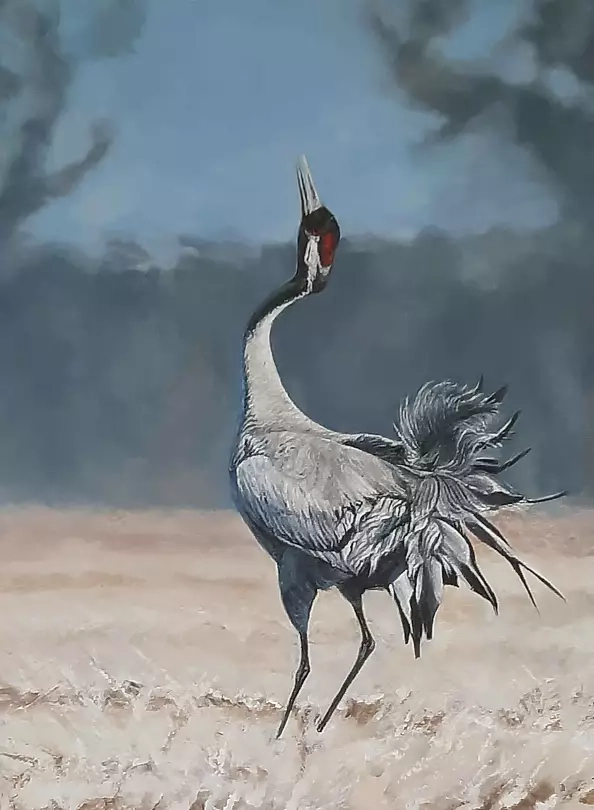 Aleksandra Kurzyńska - Pure beauty