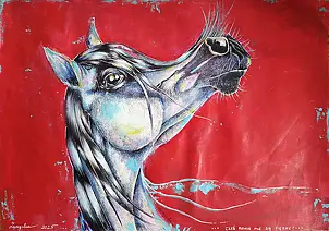   - Aren't horses beautiful?