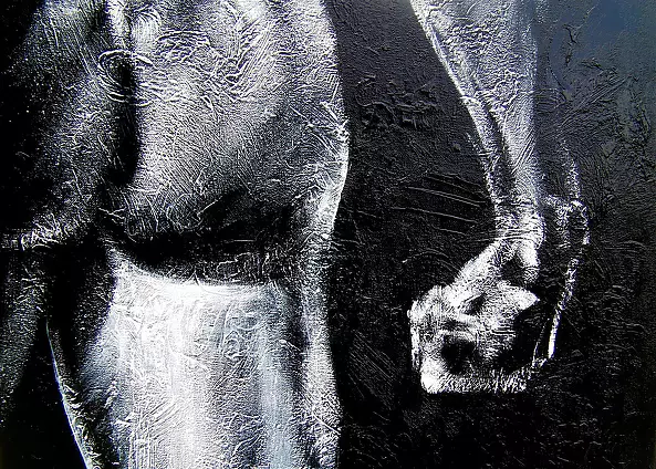 Łukasz Dziedzic - DAWID