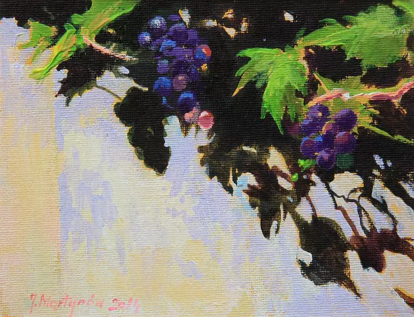 Jerzy Martynów - DOJRZEWAJĄ - MOTYW Z PROWANSJI