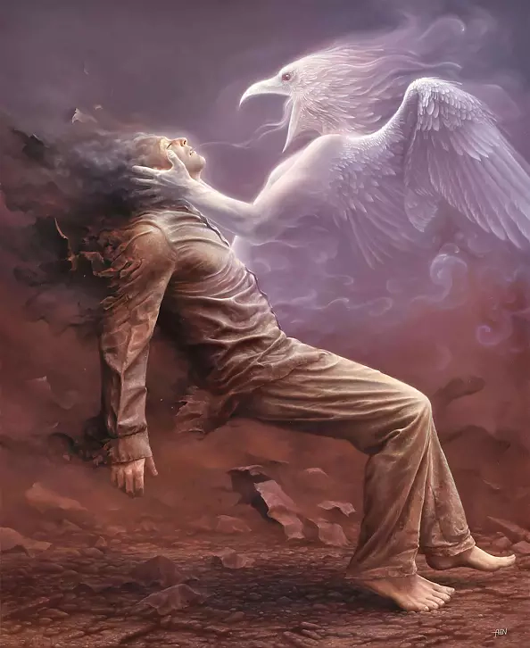 Tomasz Alen Kopera - DR01