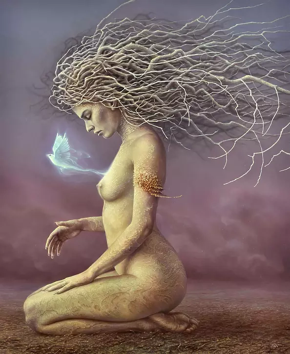 Tomasz Alen Kopera - DR02