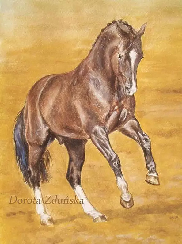 ART DOROTHEAH - DRESSAGE HORSE VALEGRO - horse, painting, picture of a horse