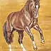 ART DOROTHEAH - DRESSAGE HORSE VALEGRO - horse, painting, picture of a horse