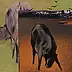 Włodek Warulik - Due mucche