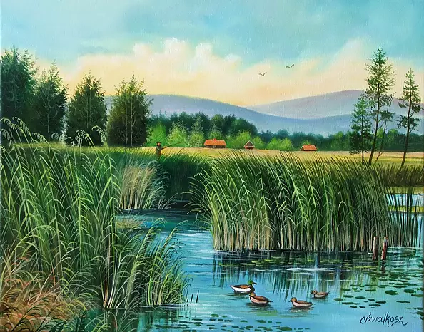 Czesław Szwajkosz - DZIKIE KACZKI