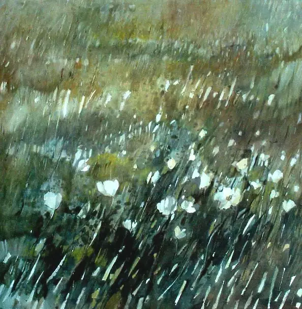 Katarzyna Makowska - DZIKIE ŁĄKI