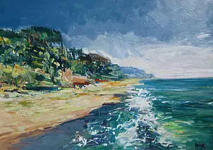 Dariusz Bożyk - Dziwnowa