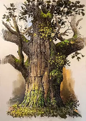 Piotr Mruk - Bartek oak