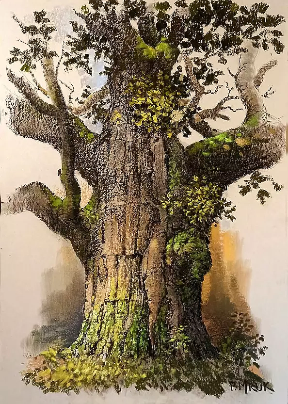 Piotr Mruk - Dąb Bartek