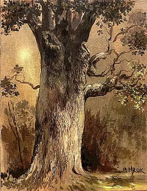 Piotr Mruk - oak Brave