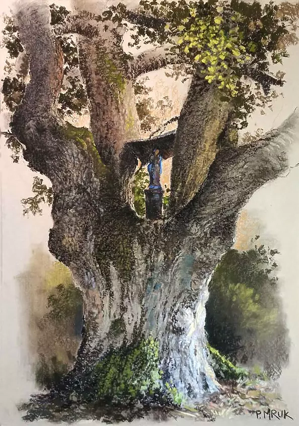 Piotr Mruk - Piast Oak