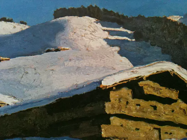 Marek Kubski - Roof zaktryty snow. (Technique coat)