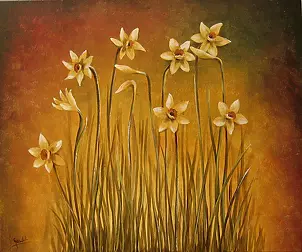 Ewa Gawlik - daffodils