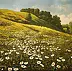 Dusan Vukovic -  daisies