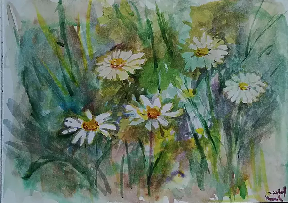 Krzysztof Marek - Daisies