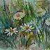 Krzysztof Marek - Daisies