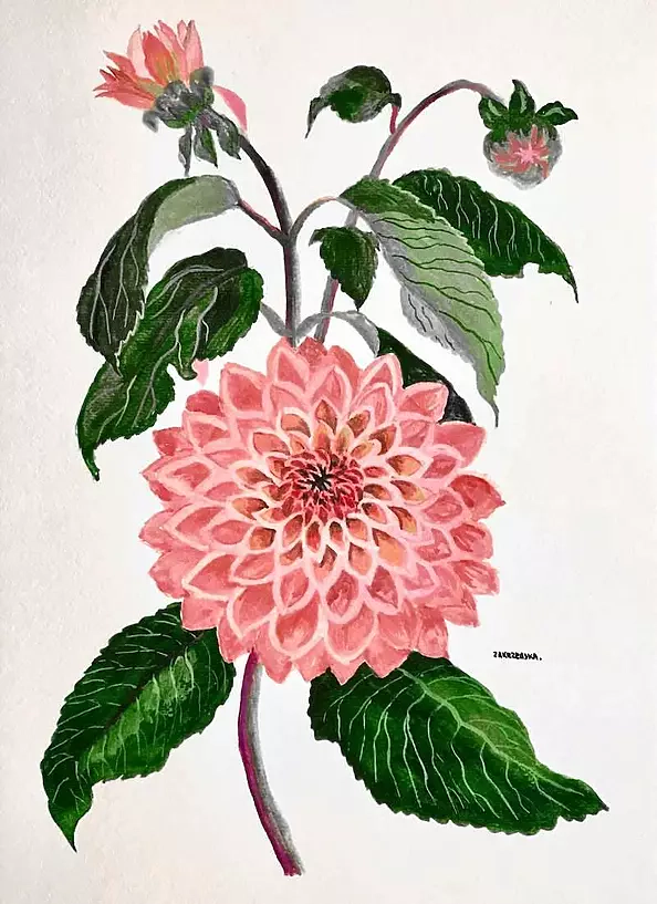Ewa Zakrzewska - Dahlia