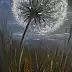 Anna Kołakowska - dandelion
