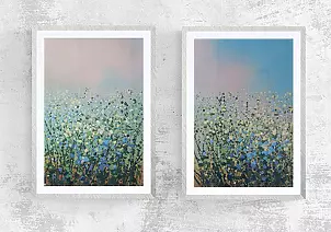   -  Dandelion flowering