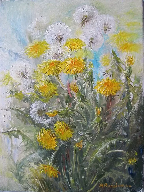 Maria Roszkowska - puffball