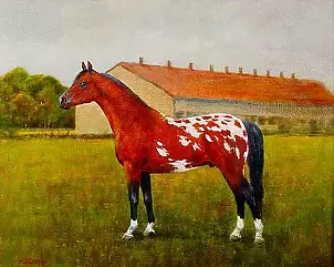 Tadeusz Gazda - Dappled horse