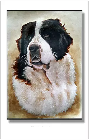 Jolanta Dusza - Dasty