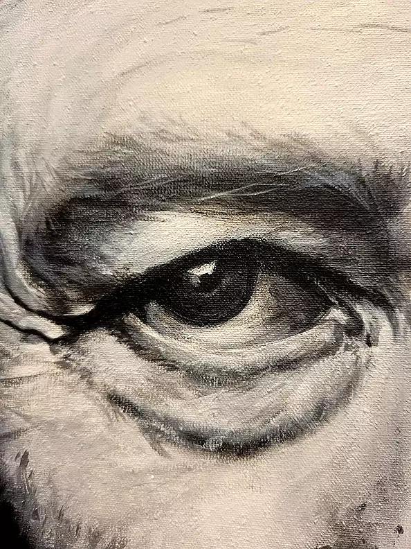 Dorota Kędzierska - David