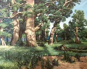 Paweł Kosior - Oak forest
