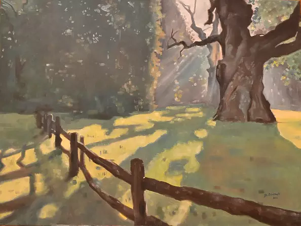 Mateusz Dolatowski - Dęby