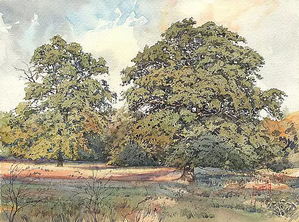 Leszek Legut - Oaks in Bukowiec