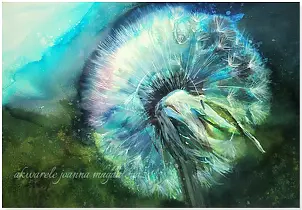 Joanna Magdalena - Decision