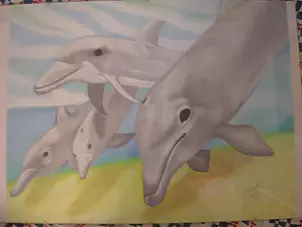   - dolphins