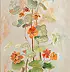 Urszula Nieborak - nasturtiums delicate
