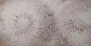 Mariola Świgulska - Delicate rays