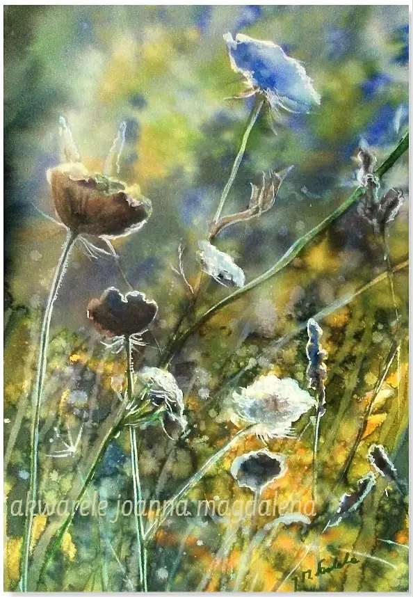 Joanna Magdalena - Determination