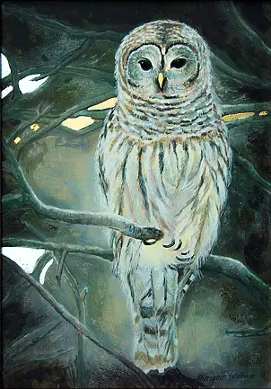 Grazyna Federico - Die Eule (2)