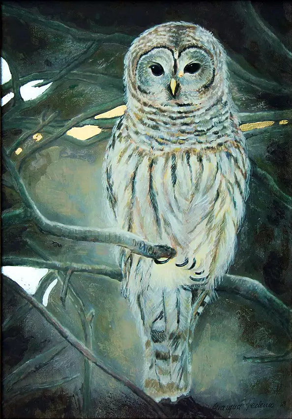 Grazyna Federico - Die Eule (2)