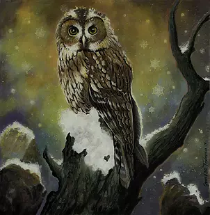 Grazyna Federico - Die Eule (4)