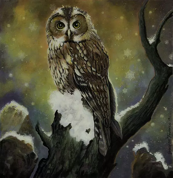 Grazyna Federico - Die Eule (4)